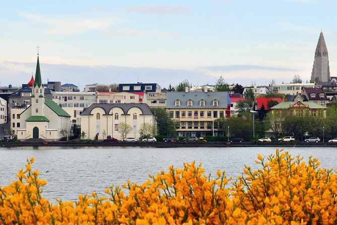 Reykjavik Walking Tour - Walk with a Viking - The oldest graveyard and Reykjavík’s past