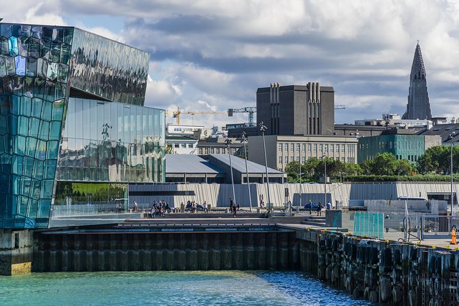 Reykjavik Walking Tour - Walk with a Viking - Laugavegur, Arnahöll, and the final climb