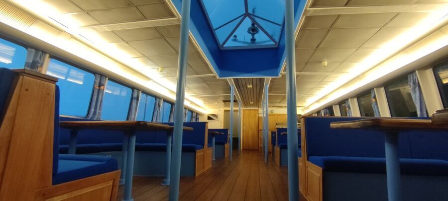 Reykjavik: Whale & Marine Adventure Tour - Who will enjoy this marine adventure most?