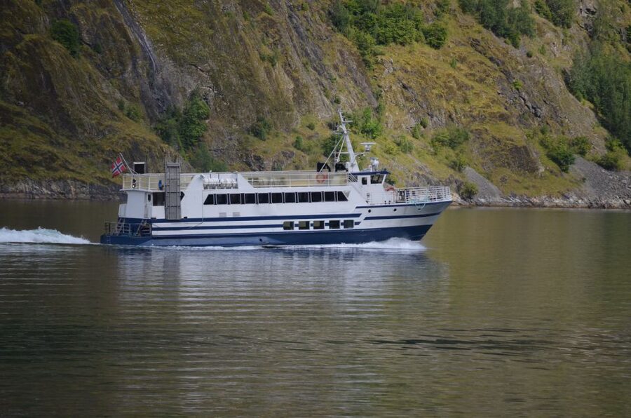 Reykjavik: Whale & Marine Adventure Tour - Practical preparation for the boat