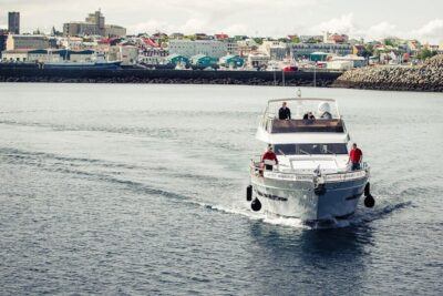 Whale Watching and Dolphin Watching Yacht Cruise