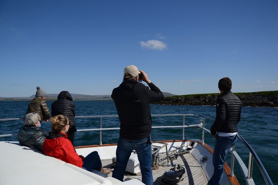 Reykjavik: Whale Watching and Dolphin Watching Yacht Cruise - Summer puffins and the birdlife of the bay