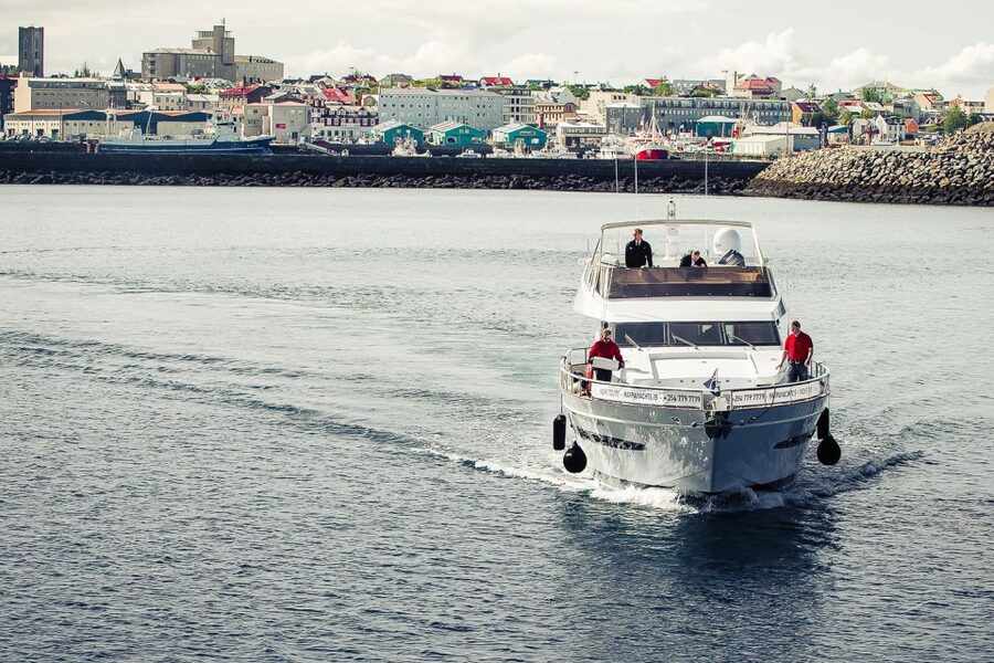 Reykjavik: Whale Watching and Dolphin Watching Yacht Cruise - Faxafloi Bay, with whales somewhere ahead