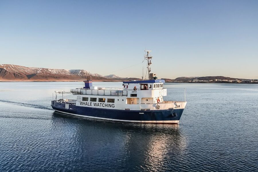 Reykjavík: Whale Watching and Marine Life Cruise - Leaving Reykjavík Harbor for Faxaflói Bay