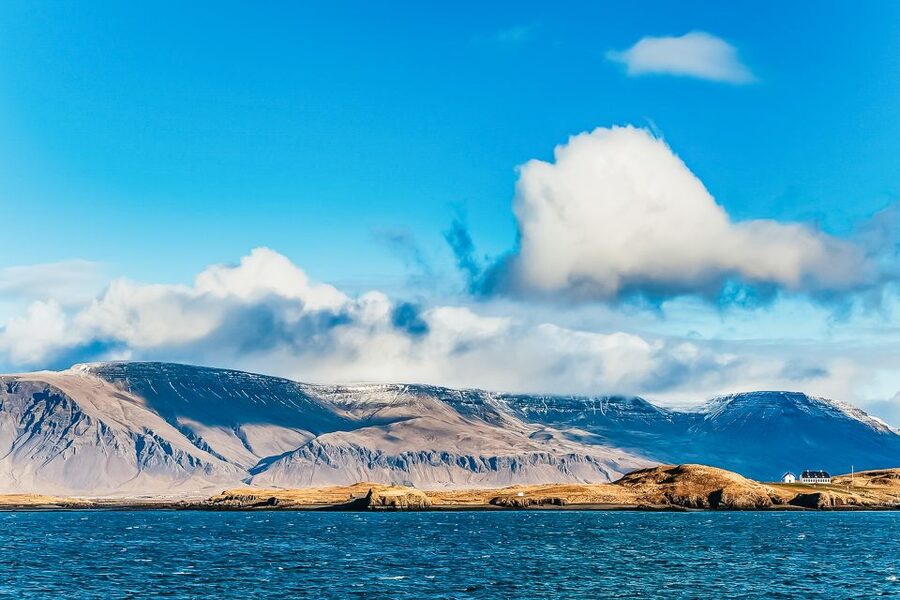Reykjavík: Whale Watching and Marine Life Cruise - Humpback Whales and Other Marine Life