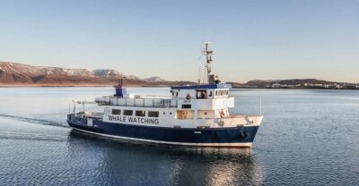 Whale Watching and Marine Life Cruise