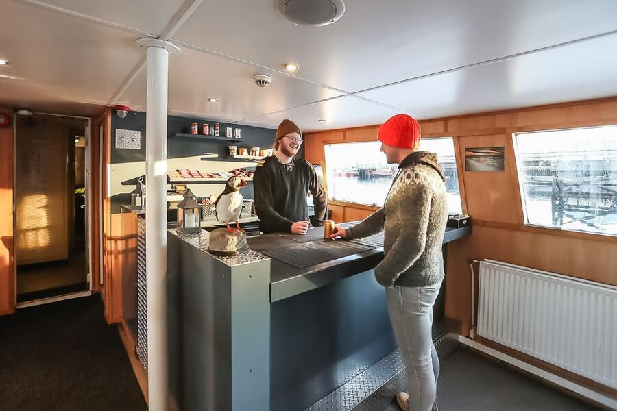 Reykjavík: Whale Watching and Marine Life Cruise - How the Three Hours Usually Feel