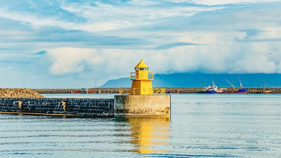 Reykjavík: Whale Watching and Marine Life Cruise - Is $87 a Fair Price?
