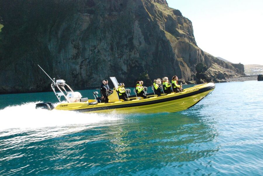 Reykjavik: Whale Watching by RIB Speedboat - Is $200 a fair price?