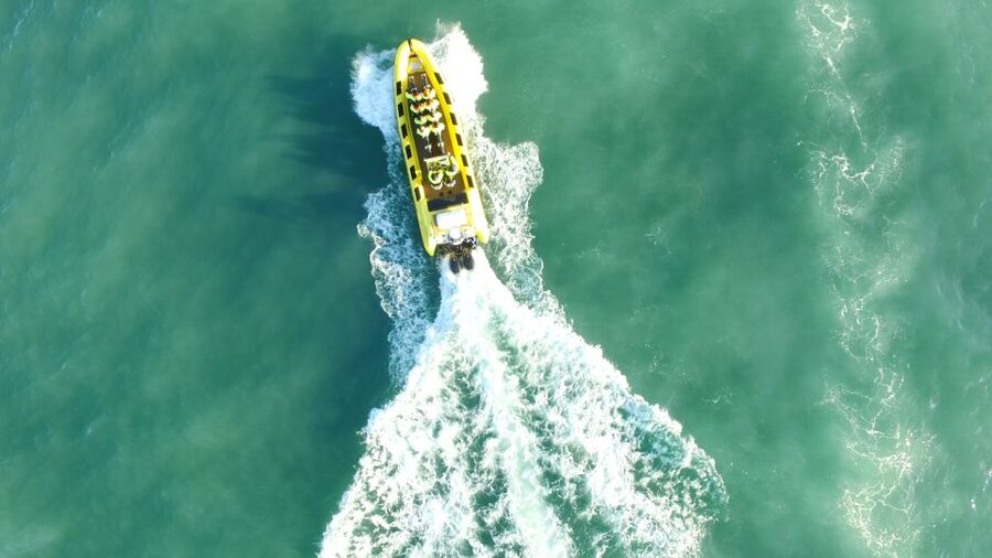 Reykjavik: Whale Watching by RIB Speedboat - A closer look at the boat ride itself