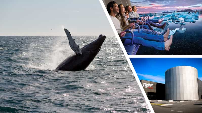 Reykjavík: Whale Watching Cruise and FlyOver Combo Ticket - Heading into whale country from Reykjavík