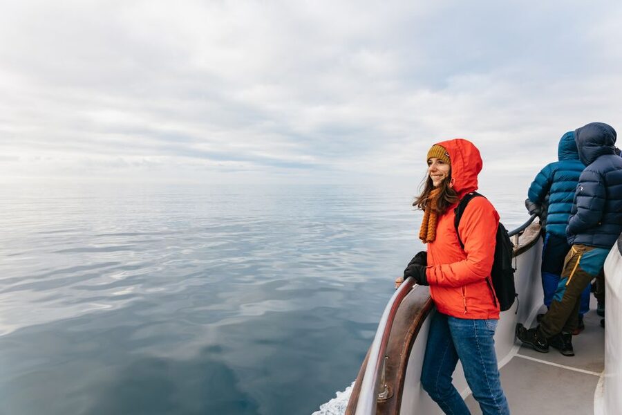 Reykjavík: Whale Watching Cruise on the Amelia Rose Yacht - Searching for humpbacks, minke whales, dolphins, and porpoises