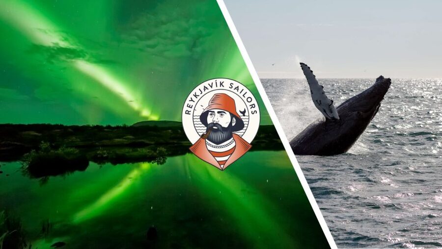 Reykjavik: Whale Watching & Northern Lights Combo Cruise - The five-hour break in Reykjavik