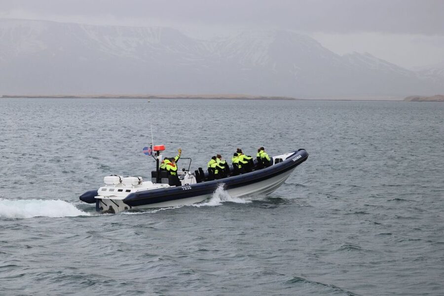 Reykjavik: Whale Watching Tour by RIB Boat - Practical details that affect your day