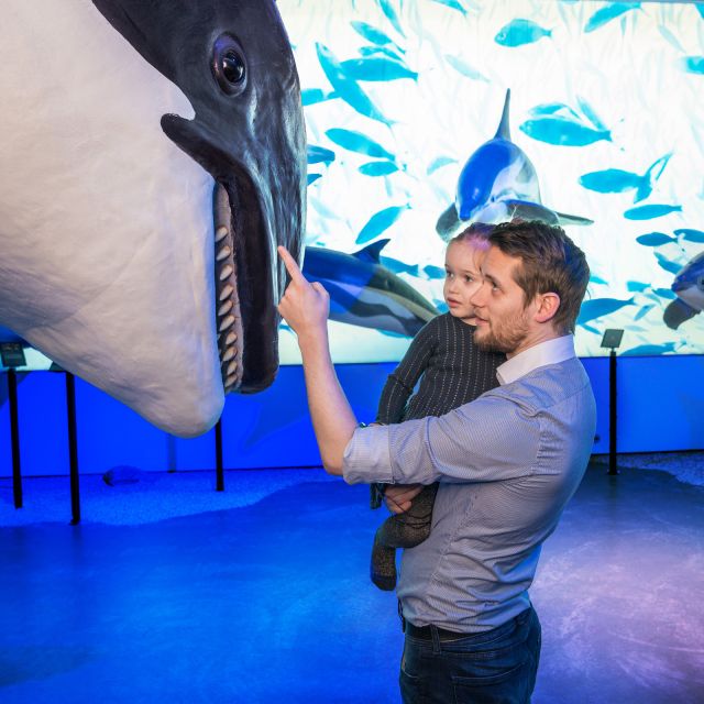 Reykjavik: Whale Watching Tour, Whales of Iceland Exhibition - Key things to know before booking