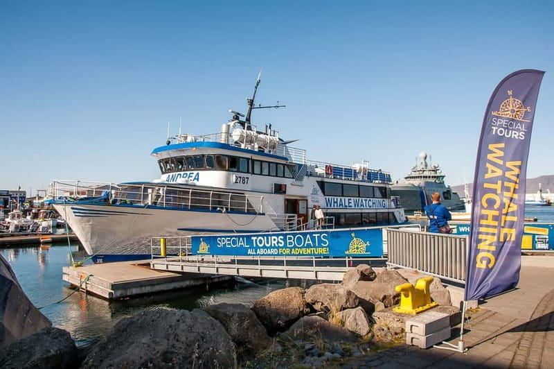 Reykjavik: Whale Watching Tour with Expert Guide - Key things to know before sailing