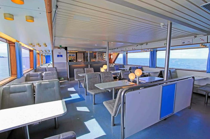 Reykjavik: Whale Watching Tour with Expert Guide - The best season and departure time