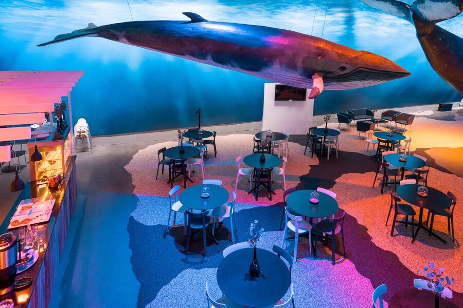 Reykjavik: Whales of Iceland Museum Entrance Ticket - Interactive displays make this more than a photo stop