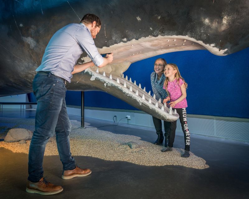 Reykjavik: Whales of Iceland Museum Entrance Ticket - How long should you allow?