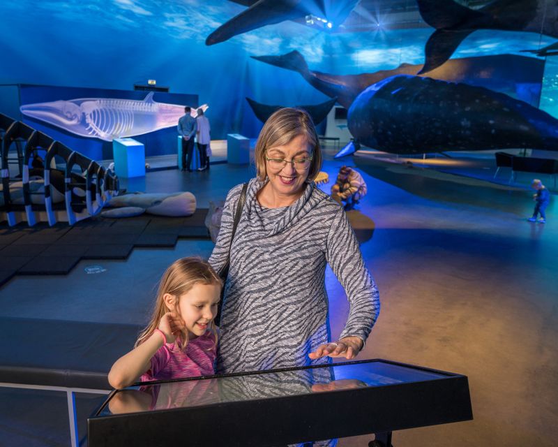Reykjavik: Whales of Iceland Museum Entrance Ticket - A smart companion to whale watching