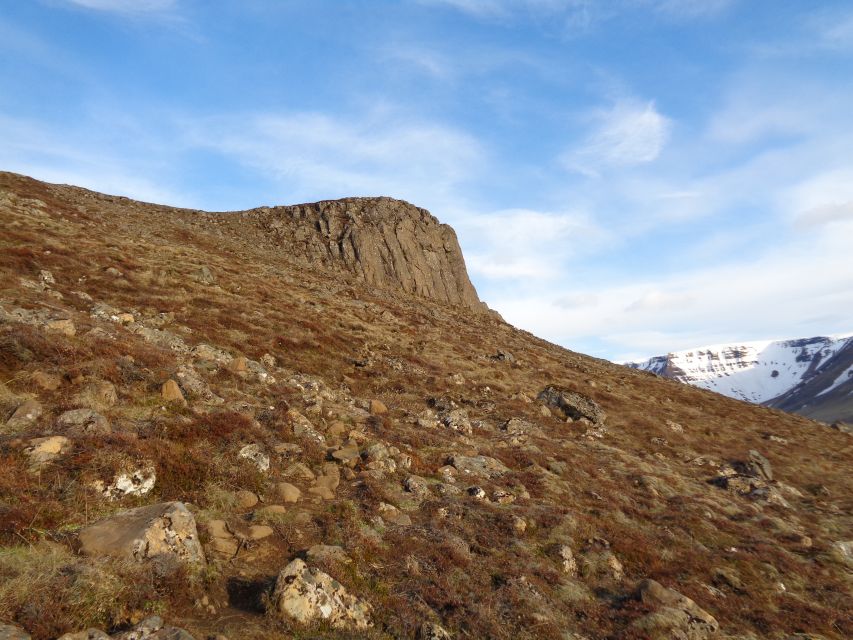 Rock Climbing Experience with Gear Included - Leaving Reykjavik for Icelandic rock
