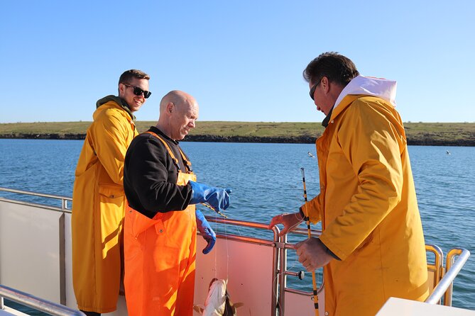 Sea Fishing Experience from Reykjavik - The best parts of this Reykjavík fishing trip