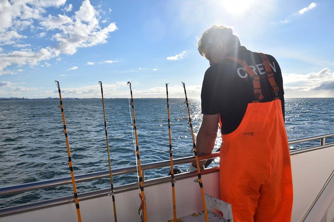 Sea Fishing Experience from Reykjavik - Akurey, Lundey, and summer puffins