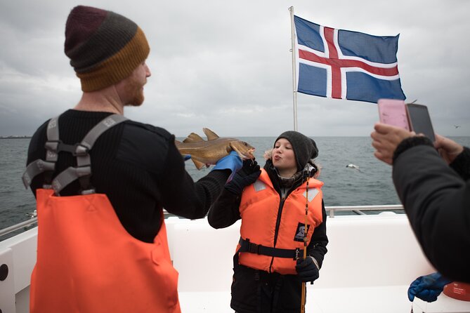 Sea Fishing Experience from Reykjavik - Crowding, equipment, and other practical trade-offs