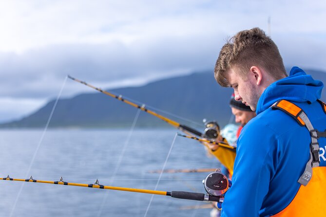 Sea Fishing Experience from Reykjavik - What the three-hour outing feels like