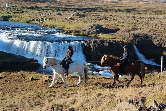 Short Riding Tour with Eye-Catching Photos at Waterfall - Meeting the Icelandic horses at Hestasport