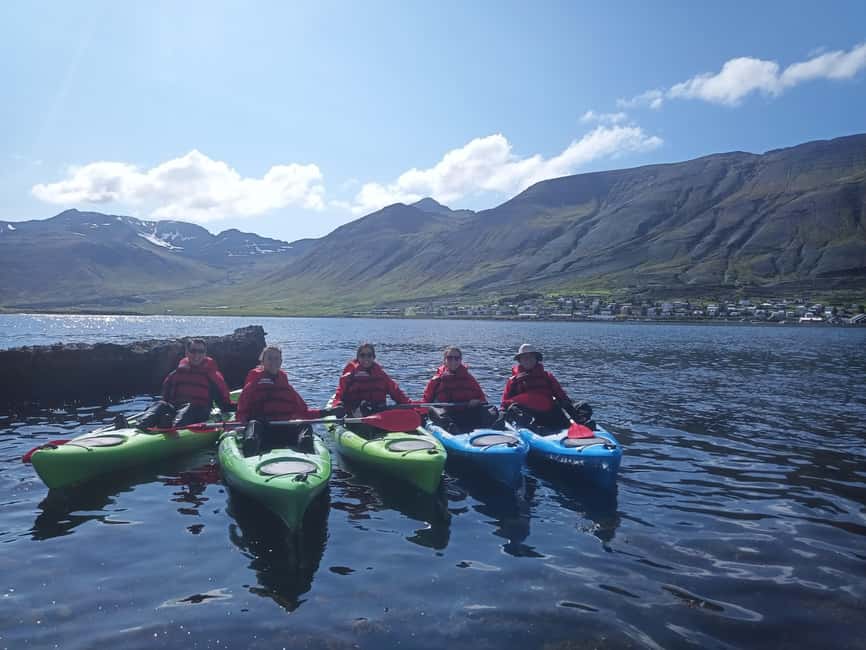 Siglufjörður / Siglufjordur: Guided kayak tour. - Wildlife, birds, and the quiet side of the fjord