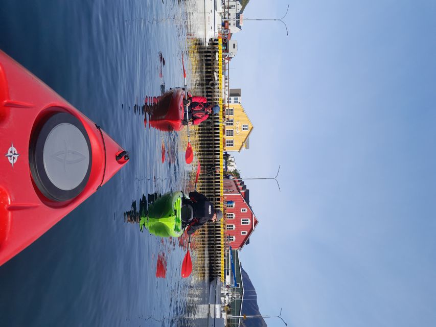 Siglufjörður / Siglufjordur: Private Guided kayak tour. - Key Things To Know Before You Paddle