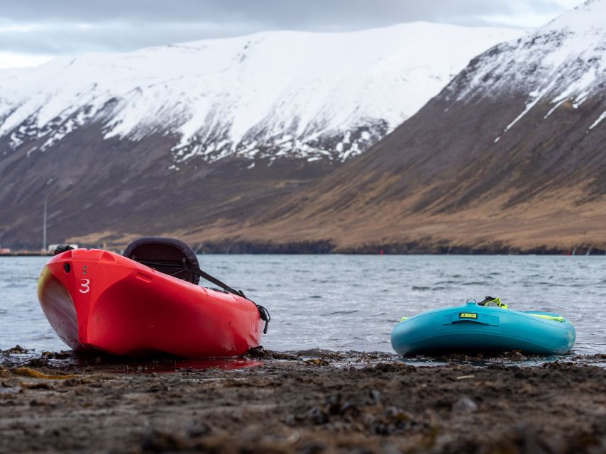 Siglufjörður / Siglufjordur: Private Guided kayak tour. - Starting at Sigló Sea HQ in Siglufjörður