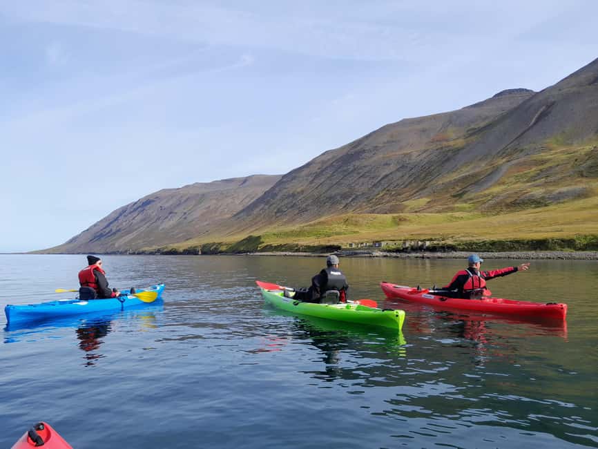 Siglufjörður / Siglufjordur: Private Guided kayak tour. - What $499 Means for Value