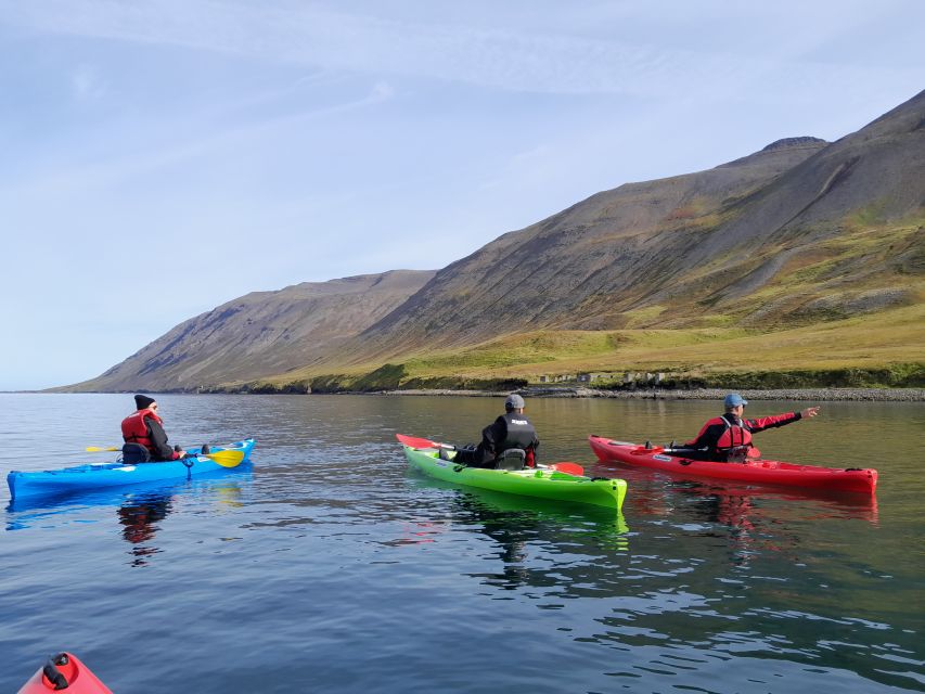 Siglufjörður / Siglufjordur: Private Guided kayak tour. - Who Can Join, and Who Should Skip It