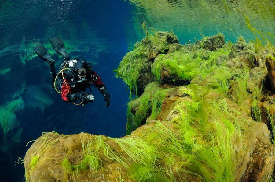 Silfra: Diving Between Tectonic Plates - Is $289 a fair price?