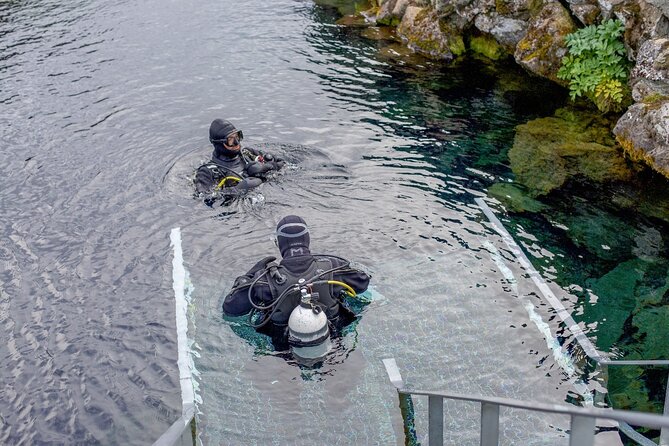 Silfra: Diving Between Tectonic Plates and Pick Up from Reykjavik - Who will enjoy this experience most