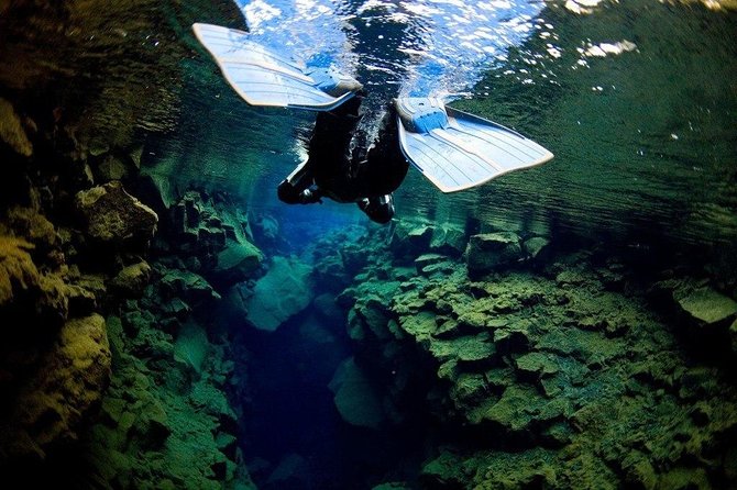 Silfra Fissure Snorkeling From Reykjavík - Free Underwater Photos - What You See Beneath Silfra’s Surface