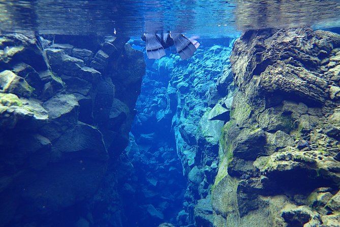 Silfra Fissure Snorkeling From Reykjavík - Free Underwater Photos - Free Photos Are Useful, With One Catch