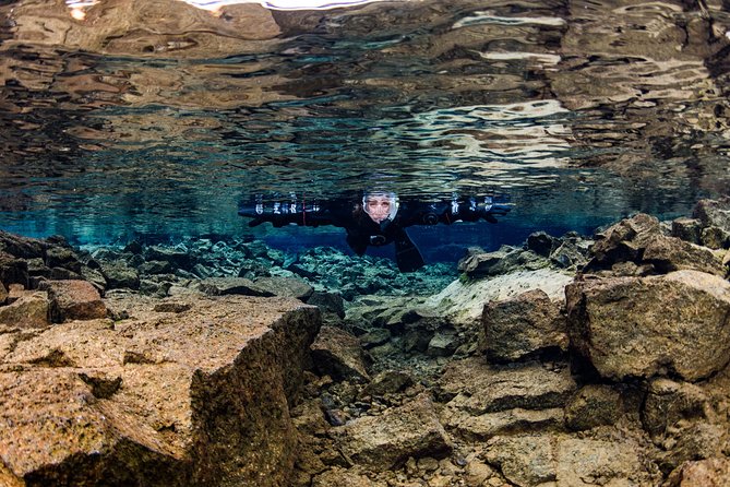 Silfra: Snorkeling Between Tectonic Plates Pick Up from Reykjavik - Why Silfra is more than a cold-water swim