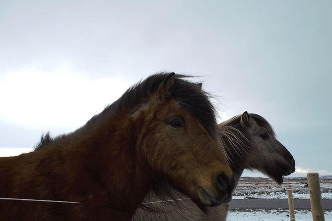 Small-Group Golden Circle Full-Day Tour from Reykjavik - Extra Stops and the Shape of the Day