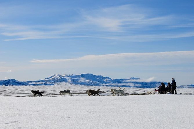 Small Group Husky Sledding Tour from Capital Region - Key points to know before booking