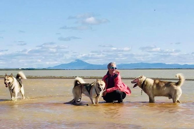 Small Group Husky Sledding Tour from Capital Region - Guides who make the visit personal