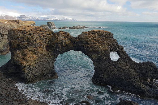 Small-Group Snaefellsnes National Park Day Trip from Reykjavik - Ytri Tunga is the wildlife highlight