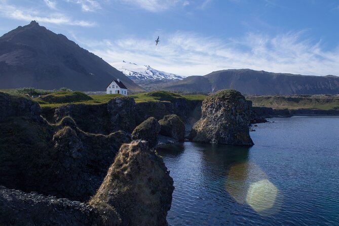 Snæfellsnes in Spanish with lunch on a farm Minibus - Ytri Tunga: A First Look at Iceland’s Seals