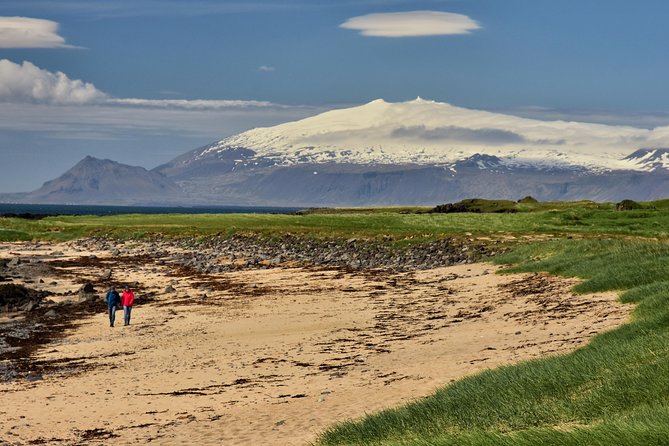 Snaefellsnes NP Small-Group Tour with Local Lunch from Reykjavik - Arnarstapi brings cliffs, birds, and lunch