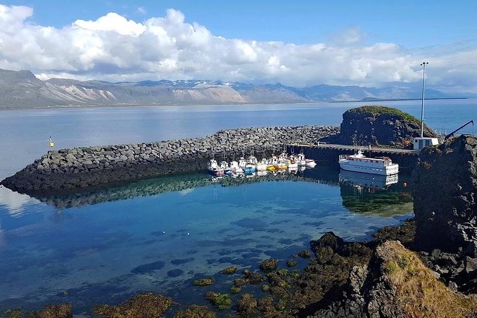 Snaefellsnes Peninsula. Private Day Tour from Reykjavik - Arnarstapi: harbor, cliffs, and seabirds