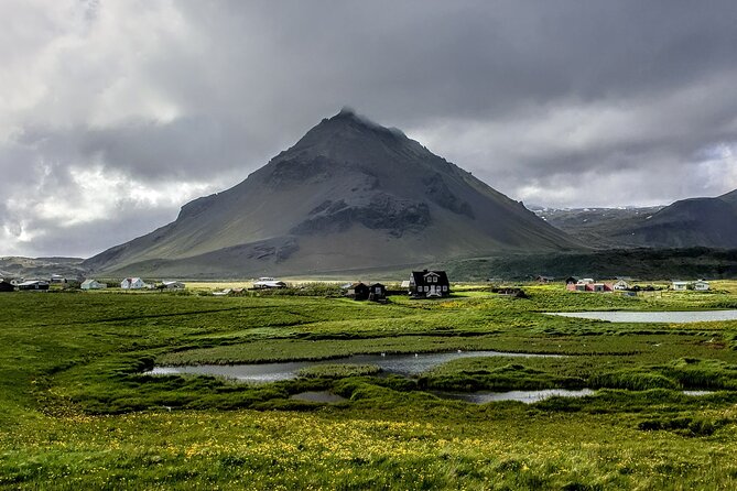 Snaefellsnes Peninsula- private guided tour - Ytri Tunga: keep watch for seals