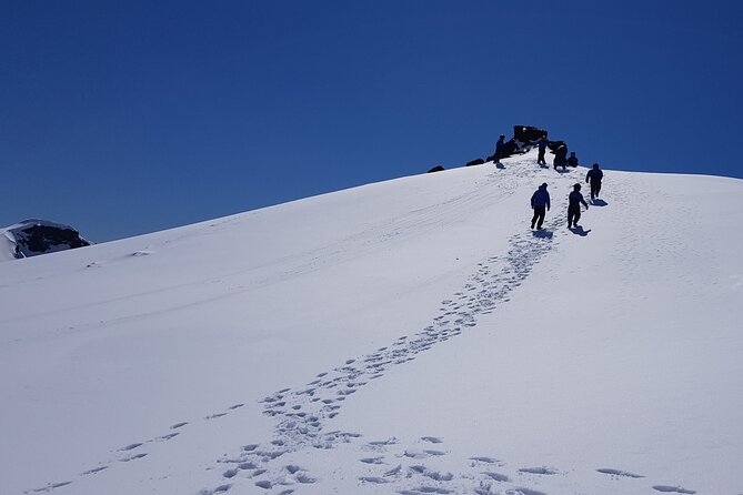Snowmobile tour on Vatnajökull - Who will enjoy this most?