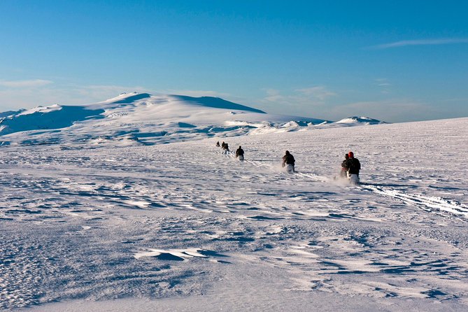South Coast and Glacier Snowmobiling Day Trip from Reykjavik - The missing lunch stop matters